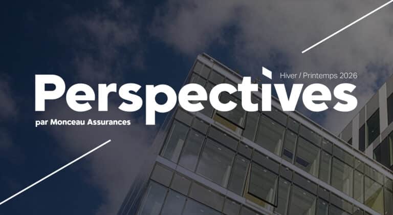 Couv Perspectives site internet